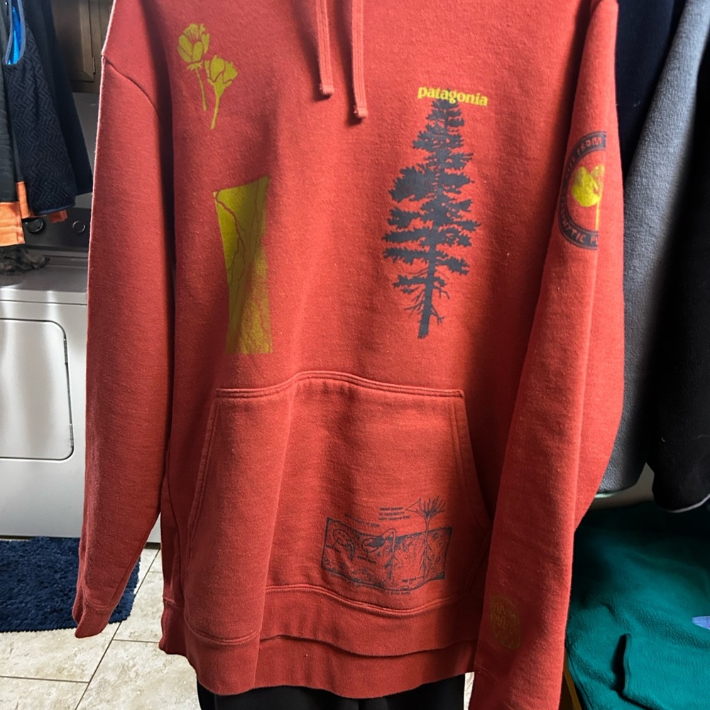 Patagonia Brick Red Graphic Pullover Hoodie